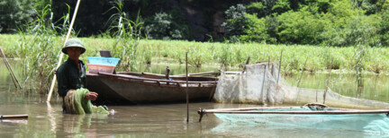 Ninh Binh & Bizarre Höhlen