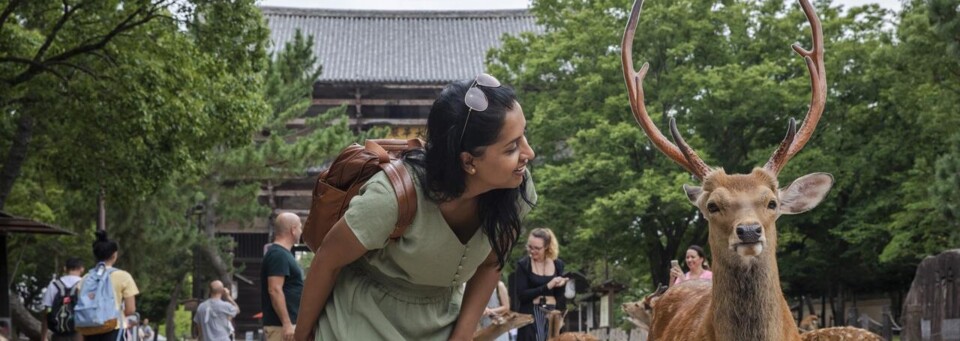 Nara in Japan
