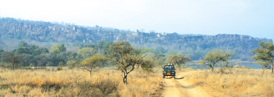Safari im Ranthambore Nationalpark