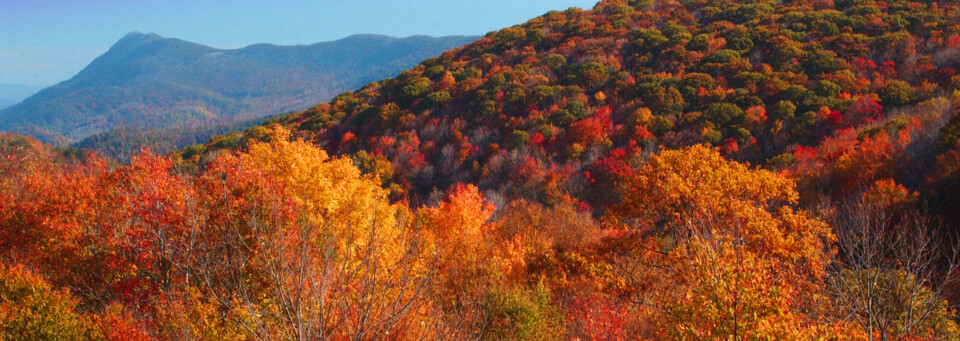 Blue Ridge Mountains im Herbst, North Carolina