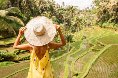 Reisfeld auf Bali
