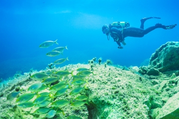 Tauchen auf Gozo
