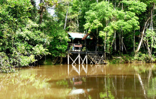 Ecuador Reisebericht - Tapir Lodge im Cuyabeno Naturreservat
