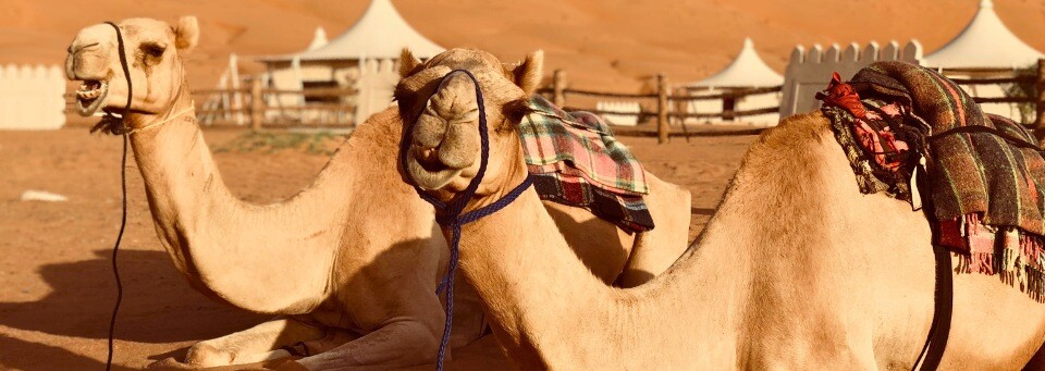 Wahiba Sands, Oman