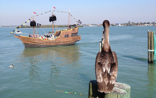 Florida Reisebericht - St. Johns Pass mit Schiff
