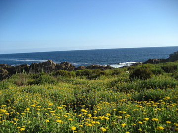 Reisebericht Südafrika: Küstenlandschaft