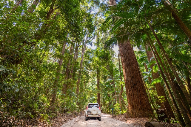 K'gari (Fraser Island) in Queensland