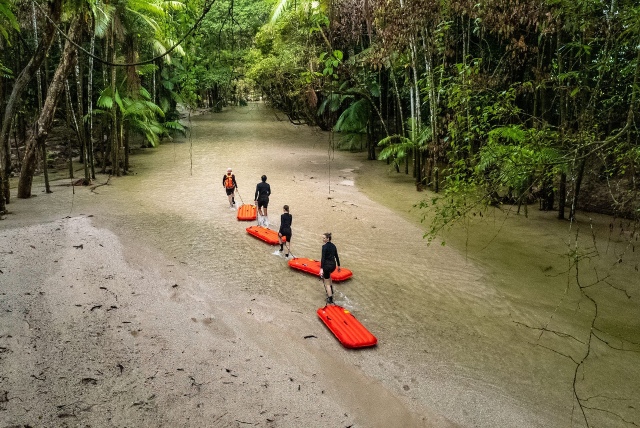 Daintree Rainforest in Australien
