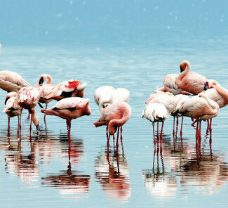 © Kenya Tourism Board