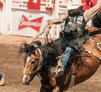 © Calgary Stampede