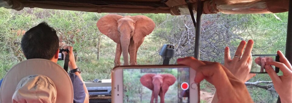 Kruger-Nationalpark