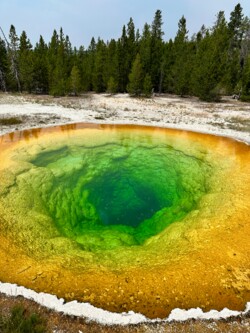 Yellowstone National Park
