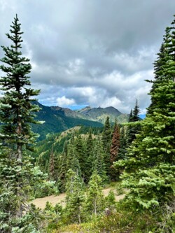 Reisebericht Seattle: Olympic National Park