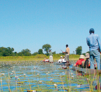 Okavango Delta Botswana