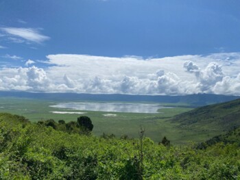 Blick auf die Landschaft