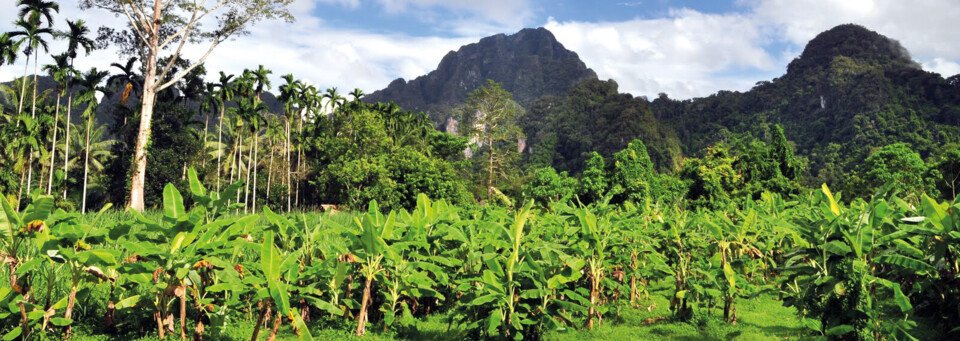 Khao Sok Nationalpark
