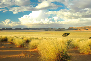 Reisebericht Südafrika: Little Karoo