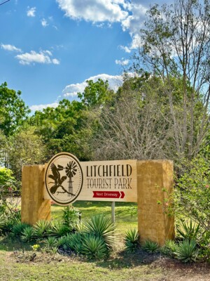 Australien Reisebericht - Litchfield Nationalpark