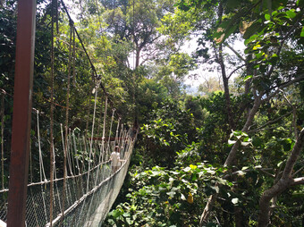Reisebericht Malaysia - Taman Negara Nationalpark