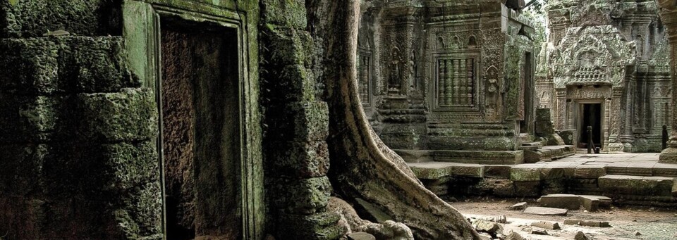 Tempelanlage Ta Prohm in Kambodscha