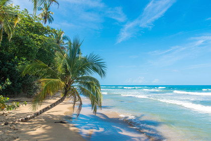 Playa Chiquita Puerto Viejo Costa Rica