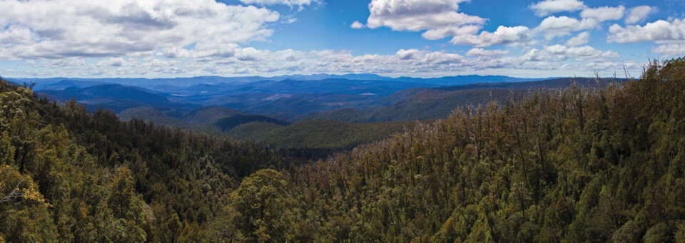 Hartz Mountains Nationalpark