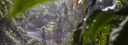Costa Rica kompakt – Tierwelt & Tropenparadies