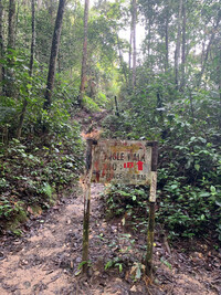 Wandeweg in den Cameron Highlands