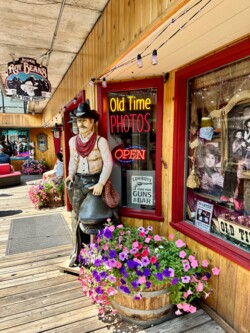 Reisebericht Seattle: Jackson Hole, WY