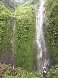 San Ramón Wasserfall auf Ometepe