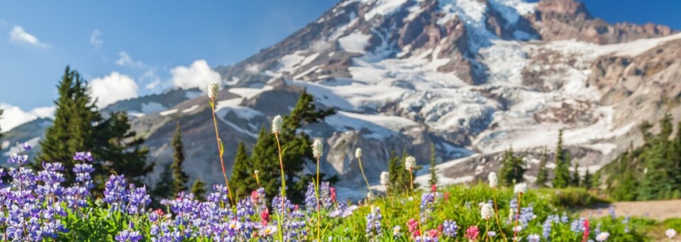 Mount Rainier Nationalpark 