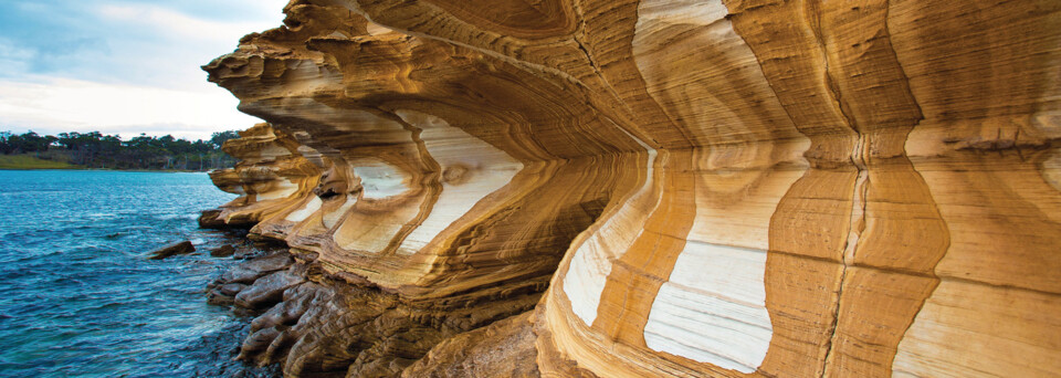 Painted Cliffs auf Maria Island Tasmanien