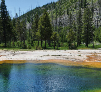 Yellowstone Nationak Park