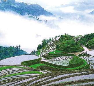 Longsheng Reisterrassen