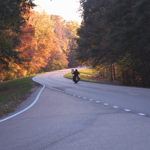 Natchez Trace Parkway, Straße im Wald