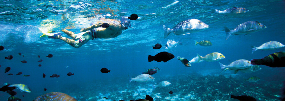 Coral Bay - Ningaloo Reef
