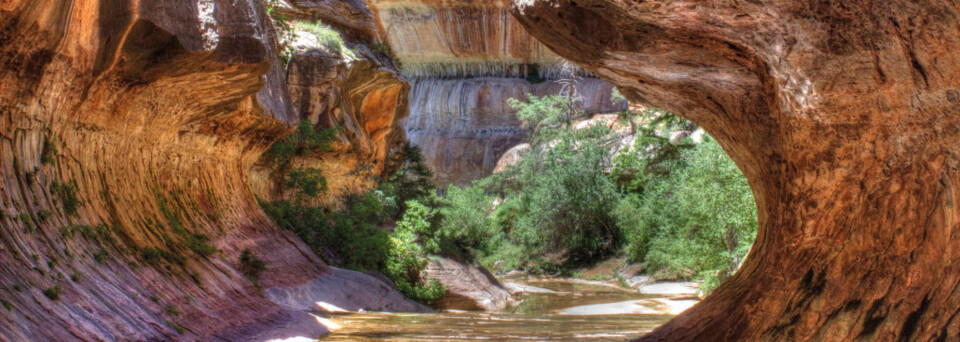 Zion Nationalpark