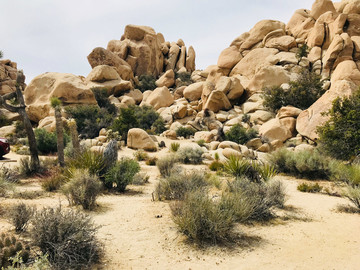 Gesteinsformationen im Joshua Tree Nationalpark