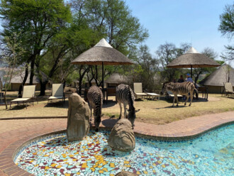 Südafrika Reisebericht: Cradle Moon Lakeside Game Lodge