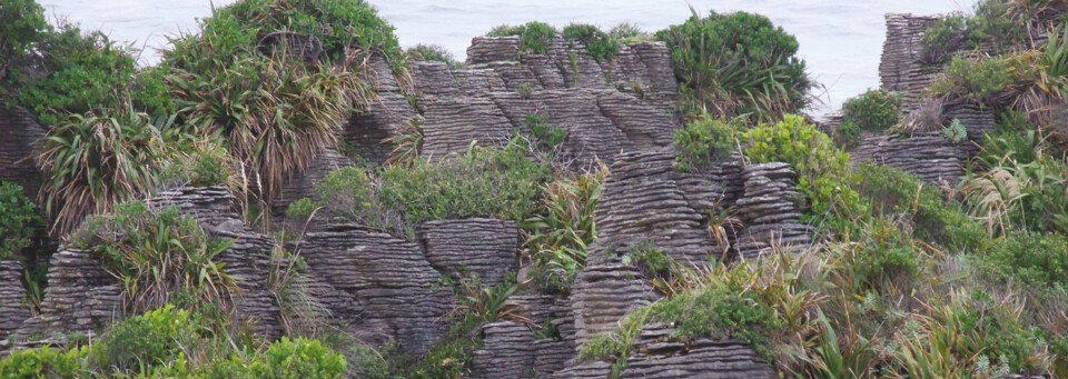 Pancake Rocks von Nahem