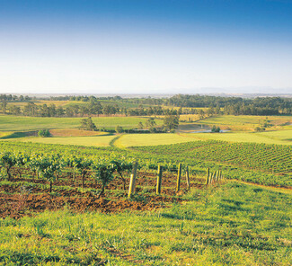 Hunter-Valley-Panorama.jpg