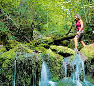 Fundy Nationalpark, New Brunswick
