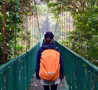 Brücke im Monteverde Nationalpark
