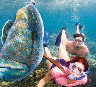 © Tourism Queensland