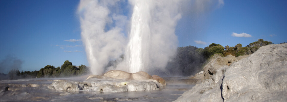 Rotorua Geysire