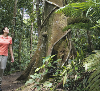 Atherton Tablelands Queensland