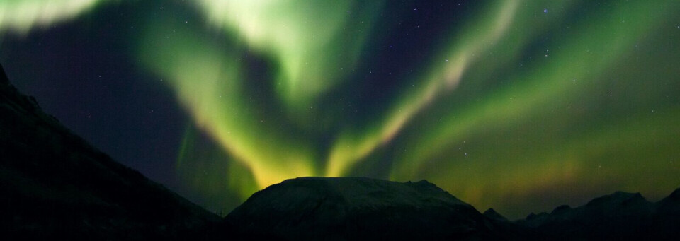 Lofoten Nordlichter
