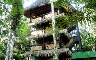 Ecuador Reisebericht - Tapir Lodge