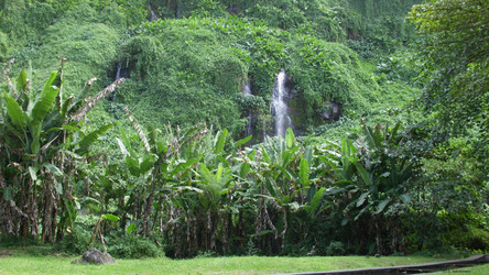 La Réunion Reisebericht: Bucht Anse de Cascades