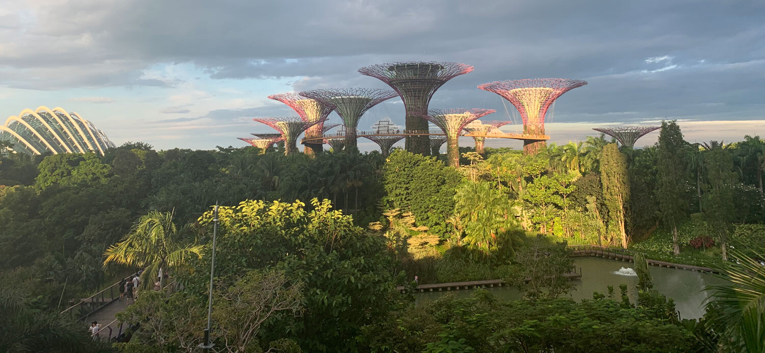 Blick über die Gardens by the Bay